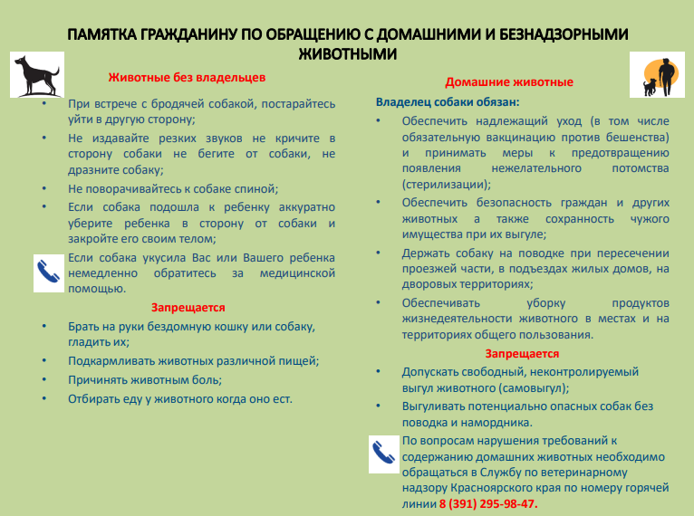 Памятка гражданину по обращению с домашними и безнадзорными животными.