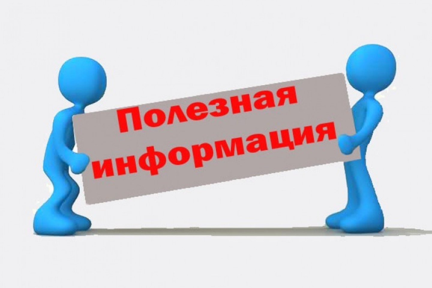 КСКПК «Агрофедерация» осуществляет прием и закупку дикорастущей продукции.