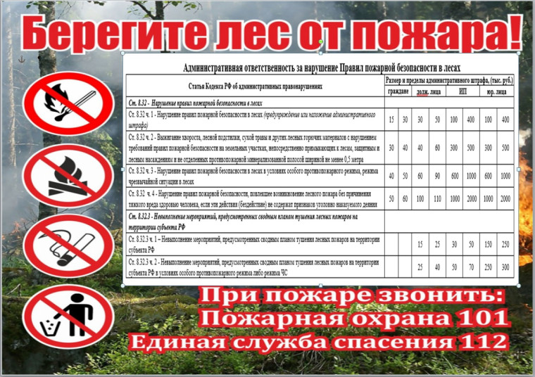 Памятка Берегите лес от пожара!. Памятка Берегите лес от пожара!.